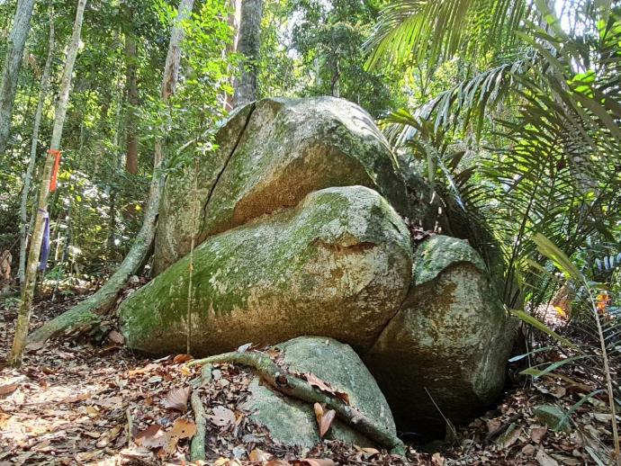 在雨林中犹如海龟的石，被称为海龟石。 