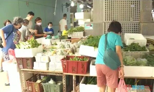 新加坡蔬菜供应