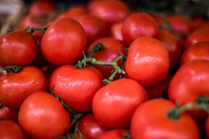 番茄 tomato