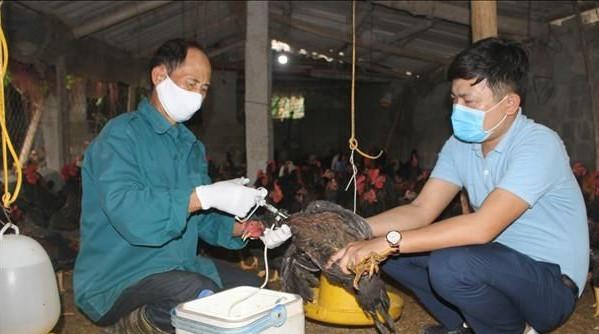 越南 防疫人员 注射 流感疫苗