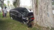 车祸 轿车 撞击大树