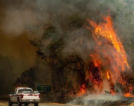 这场森林火灾过火面积已达1万7900公顷，2名消防员在救火行动中不幸牺牲。（网络图）