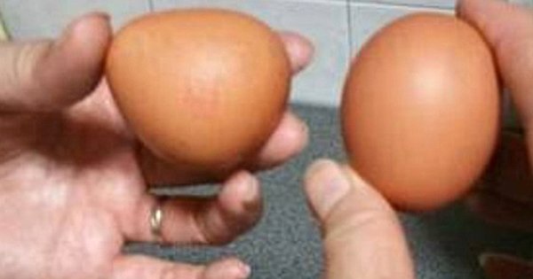 主妇到超市买到三角形的鸡蛋。