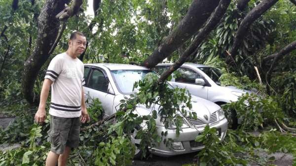 伍寿杰说倒树压毁的4辆轿车中，3辆属他和家人所有。