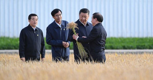 习近平星期二到黑龙江农垦建三江管理局，了解粮食生产和收获情况。建三江地处三江平原腹地，是中国重要商品粮基地，有“中国绿色米都”之称。 
