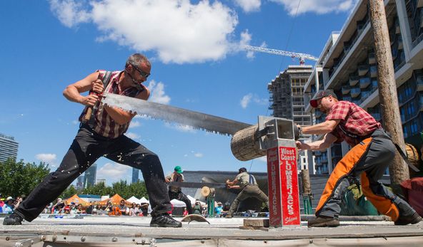 中国对加拿大木材的需求很高。图为伐木工人在多伦多的活动中，展现双人使用手锯锯树干。 