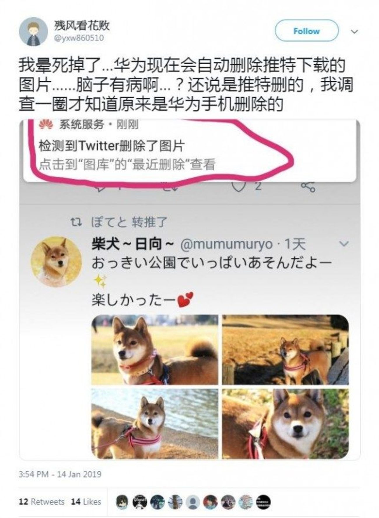 中国网友发布截图，显示他在浏览日本网友的柴犬照片，准备储存图片时，系统通知检测到推特删除图片。