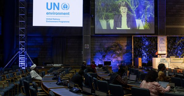 瑞士联邦委员索马鲁加星期三在内罗毕第四届联合国环境大会上发言。（欧新社）