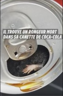法国男子投诉喝完饮料，竟然发现内藏一只死老鼠。（示意图，取自网络）