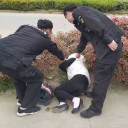 民警把看似“熊猫”的酒醉女子叫醒。