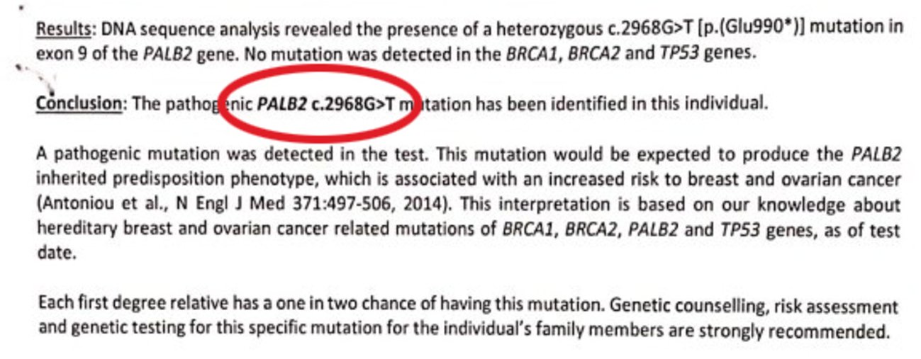 报告指出：体内检验出遗传基因突变PALB 2（红圈处）。