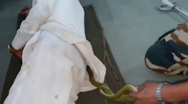 贾达夫小心翼翼地将青蛇从男子衣服下方抓出。（图截自youtube《Multimedia LIVE》）