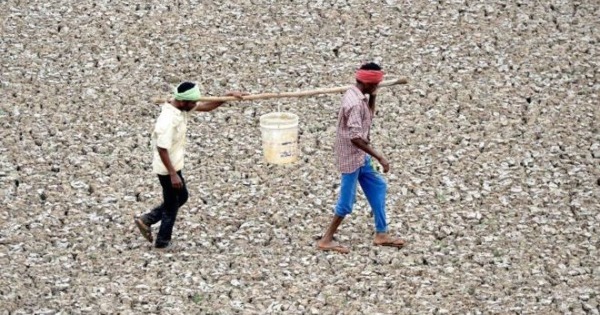 印度工人在几乎干涸的普扎尔水库小水塘中取水。（网络图）