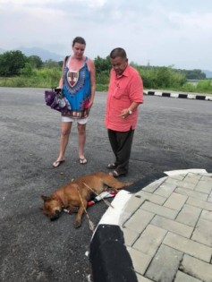 此残酷对待动物的事件在达扬港一家24 小时便利店附近发生。（照片取自面簿）