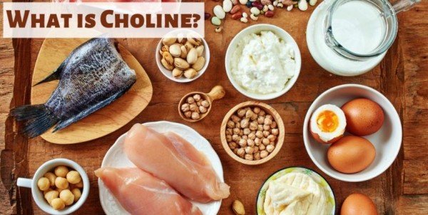 胆碱（choline）主要来自牛肉、鸡蛋、乳制品、鱼和鸡肉等，对大脑健康至关重要。 