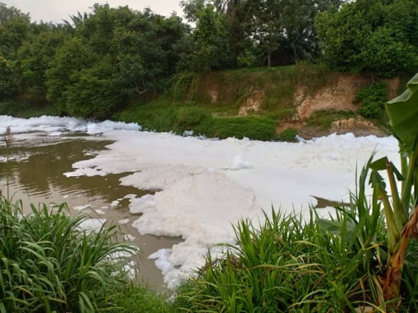 士乃河段于周五浮现大量白色泡沫，以致鱼群死亡。