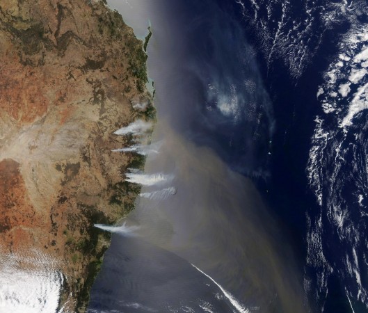 卫星图显示，新南威尔士州上星期四沿岸有多处野火。（欧新社）