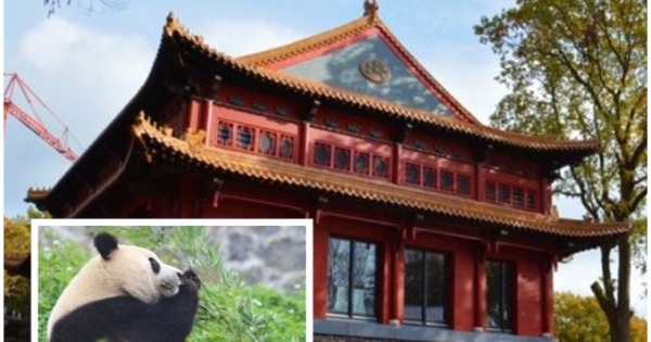 荷兰欧维汉动物园打造一个豪华宫殿，迎接大熊猫。（互联网图片）