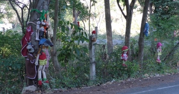 路边绑满布娃娃。（互联网图片）