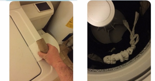 整卷厕纸（左）跌入洗衣机内，却像条扭成辫子状的“软绳”（右）。