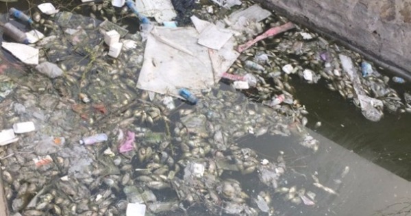 报告指天津附近的地表水有95%不能喝。（网上资料图片）