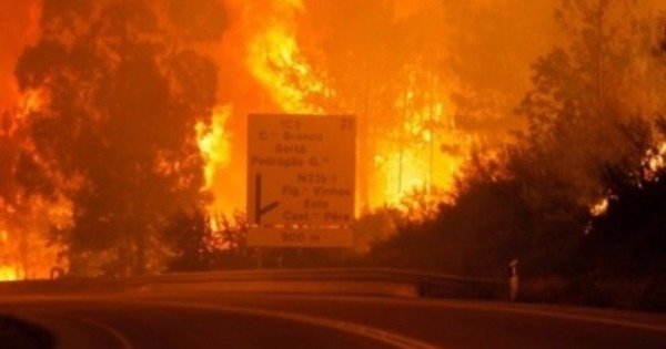 山火烧到公路，多名驾驶者葬身火海。（互联网图片）