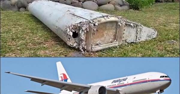 早前冲上岸的马航MH370客机残骸（上图）。（资料图片）