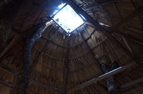 在树屋的屋顶中央夹上玻璃层，让自然光直接轻洒在屋内。
