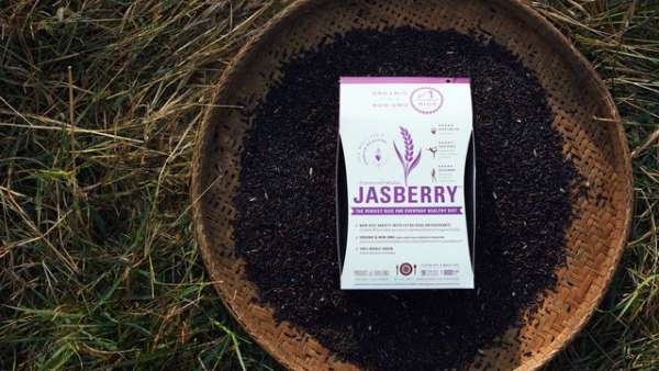 Jasberry米已获得国际权威的有机认证，并为农户带来更好的生活素质。 