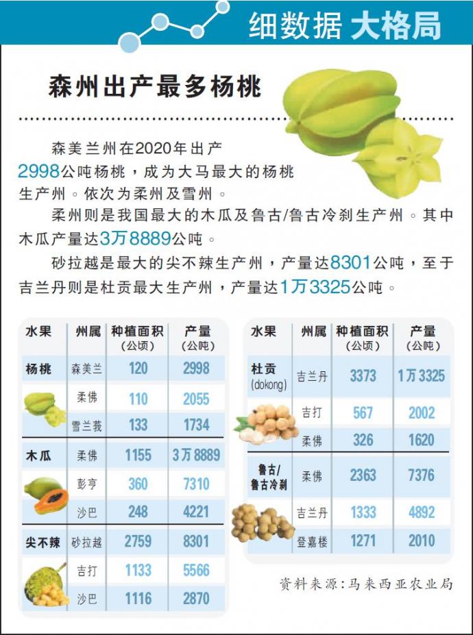 细数据 森州出产最多杨桃
