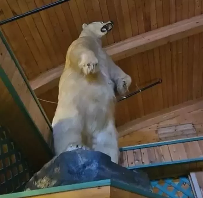 巨型北极熊标本