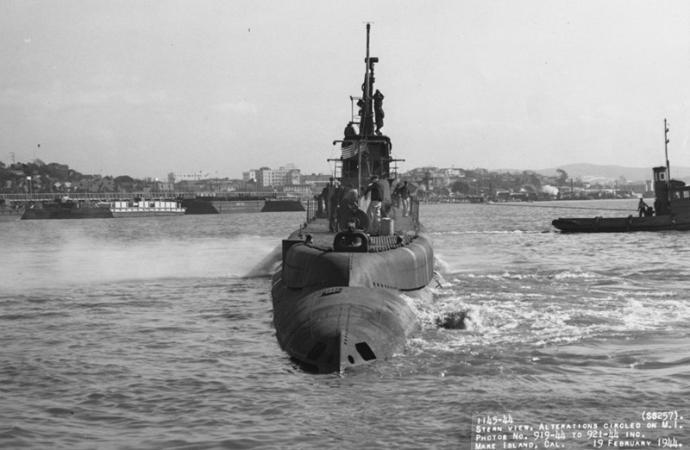 美国海军 潜艇 鲻鱼号