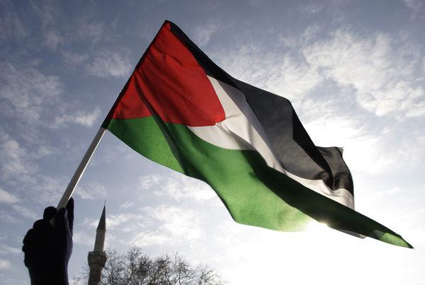 巴勒斯坦旗 palestine