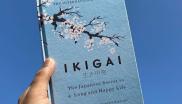 《冲绳岛幸福长寿秘诀 IKIGAI》