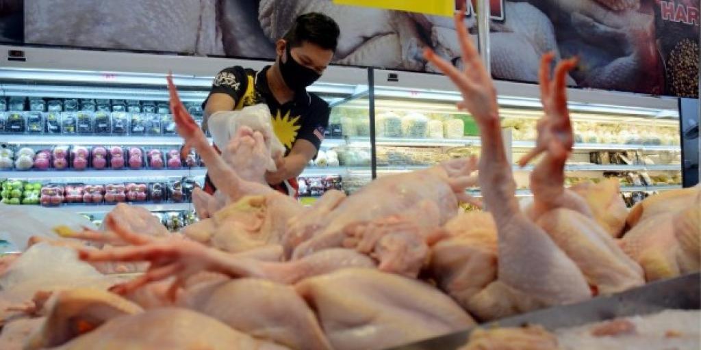 贸消部长:若不设顶价肉鸡价格将逾RM10