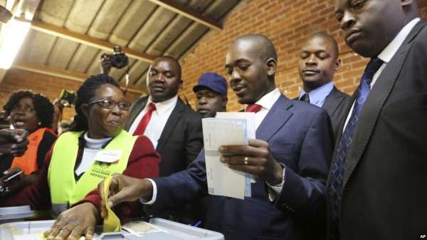 津巴布韦反对党“争取民主变革运动”联盟候选人查米萨，已经提前庆祝其赢得选举。（美联社）