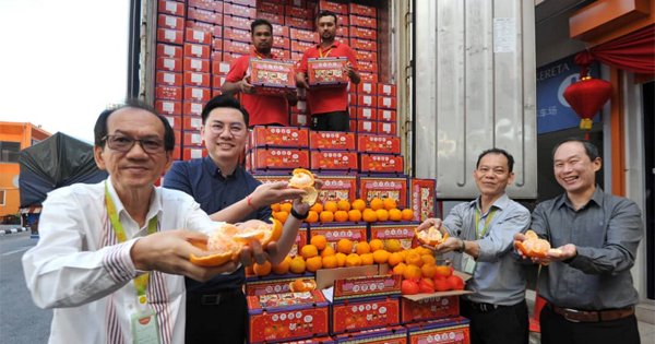 首批芦柑抵达阳光广场，阳光零售连锁集团总经理余锦明（左一）展示香甜的芦柑。