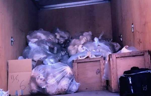 东京都荒废民宅发现500具人骨。（翻拍自日本电视画面）