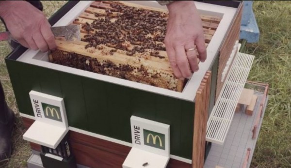 原来这是为了野生蜜蜂所打造的麦当劳造型蜂箱，里面有一层一层的巢片。（图撷自@lexifullmer推特）
