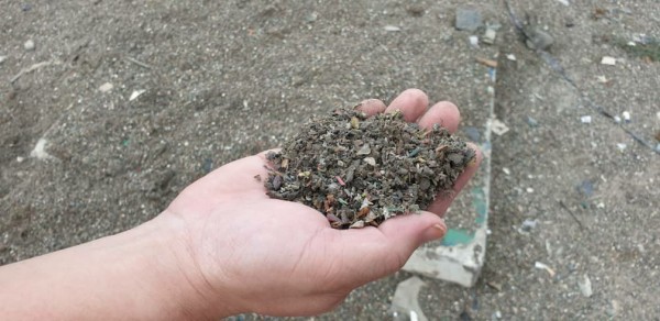 微塑料遍布土埋场，若不是手抓一把近看，或以为只是一层松软泥土。 
