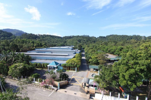 Spritzer设立占地330英亩的工厂，维护热带雨林，确保地下水质不受污染。
