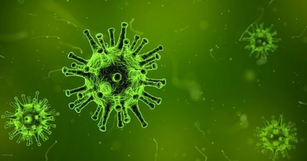 澳洲科学家最新的研究显示，人体免疫系统对冠病和流感反应相似。（示意图/取自pixabay）