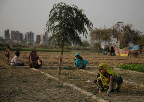 研究指印度农夫自杀率上升，可能与全球暖化有关。（美联社图片）