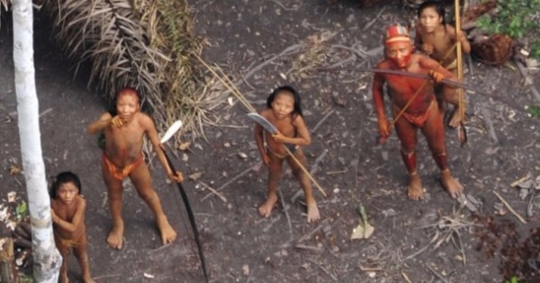 报道指巴西近期发生原住民被集体屠杀事件。（资料图片）